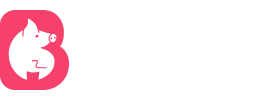 51视频最新
